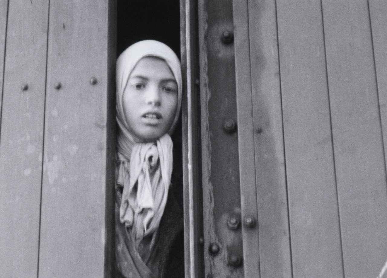 Sinti-meisje Settela Steinbach in de trein naar Auschwitz (1944)