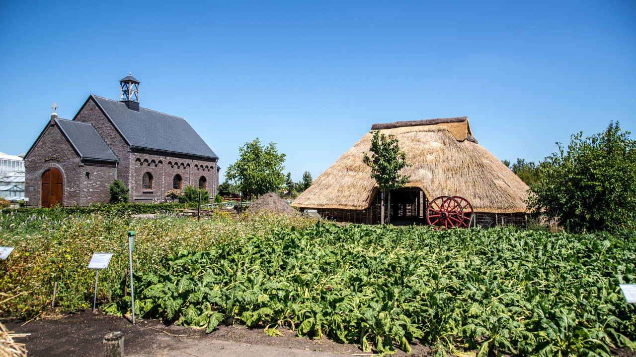 Openluchtmuseum de Locht - Dit hallehuis is een replica van een boerderij uit 1320. 