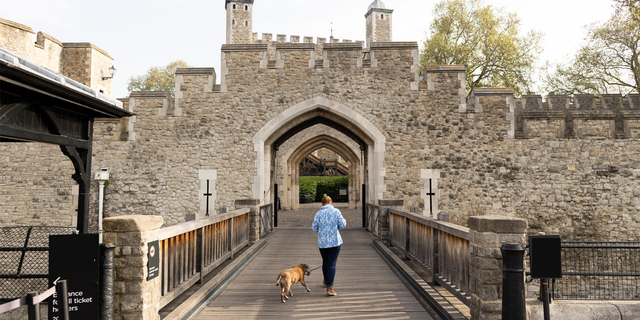 Bezoeker en hond naar kasteel